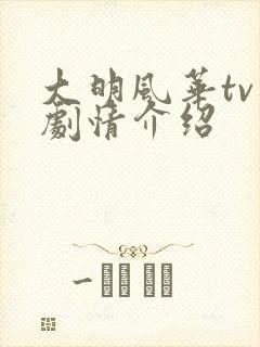 大明风华tv版剧情介绍