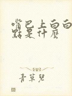 嘴巴上白白的小点是什么