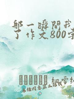 那一瞬间我感动了作文800字
