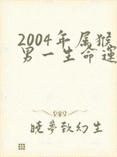 2004年属猴男一生命运如何