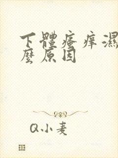 下体瘙痒湿是怎么原因