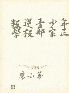 叛逆青少年教育学校哪家正规