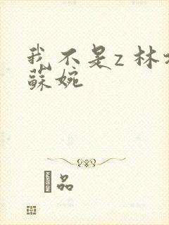 我不是z 林北苏婉