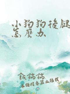 小狗狗后腿无力怎么办