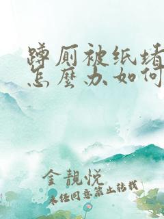 蹲厕被纸堵住了怎么办如何疏通