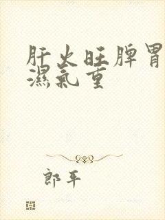 肝火旺脾胃虚寒湿气重