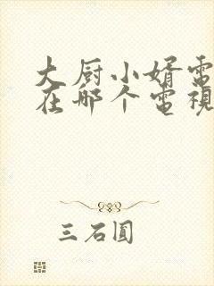 大厨小婿电视剧在哪个电视台播放