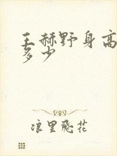 王赫野身高体重多少