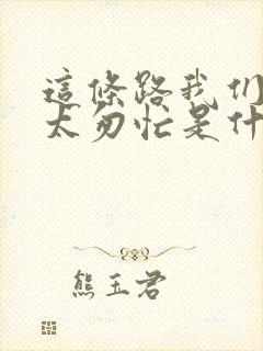 这条路我们走的太匆忙是什么歌