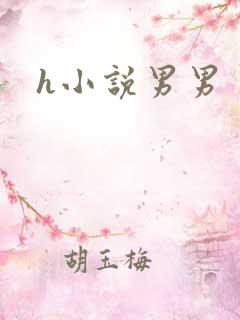h小说男男