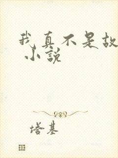 我真不是故意的 小说