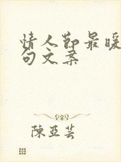 情人节最暖心短句文案