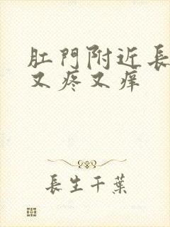 肛门附近长疙瘩又疼又痒