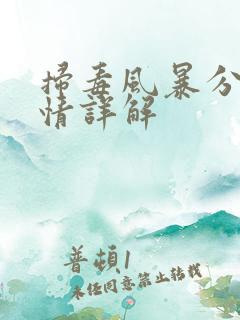 扫毒风暴分集剧情详解