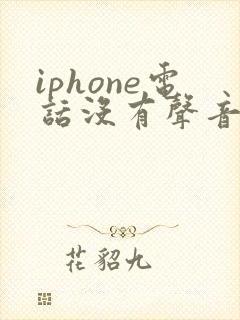 iphone电话没有声音是怎么回事