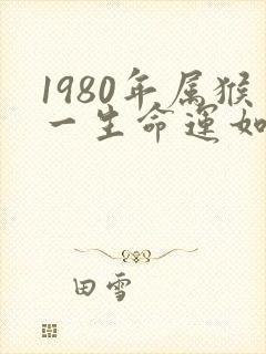 1980年属猴一生命运如何