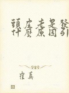 头皮老是发麻是什么原因引起的