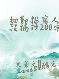 细节描写人物片段摘抄200字