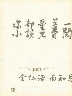 你却爱着一个他小说免费阅读