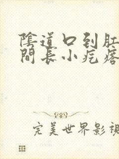 阴道口到肛门中间长小疙瘩