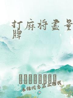 打麻将尽量少碰牌