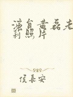 演员黄磊老婆孙莉照片