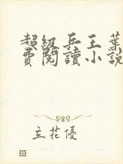 超级兵王叶谦免费阅读小说