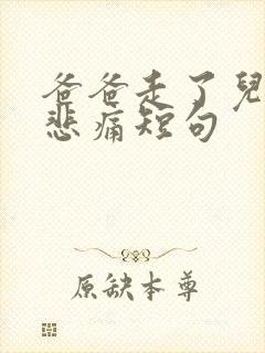 爸爸走了儿子的悲痛短句