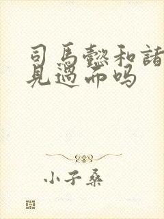 司马懿和诸葛亮见过面吗