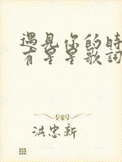 遇见你的时候所有星星歌词