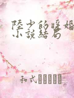 陆少的暖婚新妻小说结局