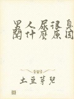 男人尿很臭很难闻什么原因