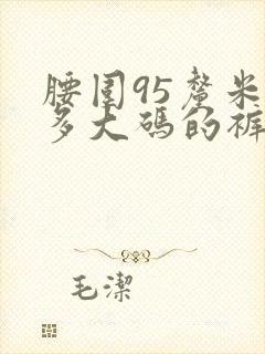 腰围95厘米是多大码的裤子