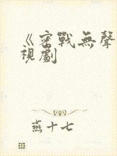 《密战无声》电视剧