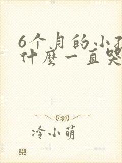 6个月的小孩为什么一直哭