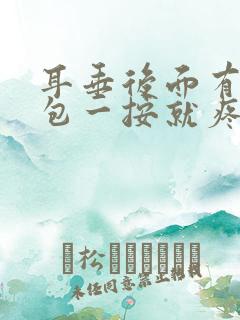 耳垂后面有一个包一按就疼