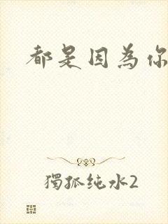 都是因为你歌词