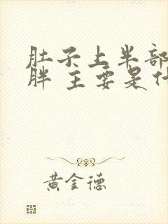 肚子上半部分肥胖 主要是什么原因