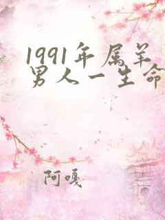 1991年属羊男人一生命运