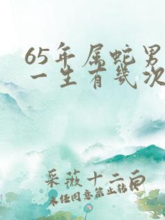 65年属蛇男人一生有几次婚姻