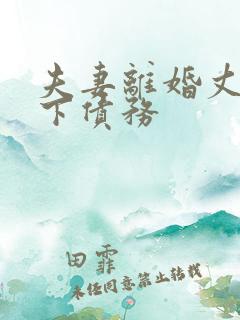 夫妻离婚丈夫欠下债务