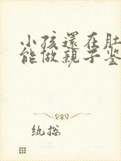 小孩还在肚子里能做亲子鉴定吗