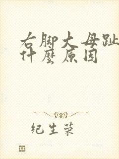 右脚大母趾麻是什么原因