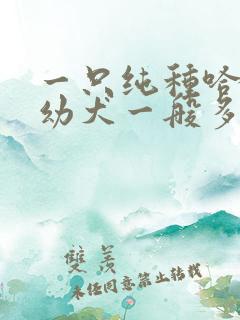 一只纯种哈士奇幼犬一般多少钱