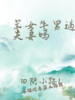 羊女牛男适合做夫妻吗