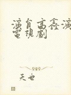 演员高鑫演过的电视剧