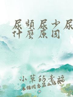 尿频尿少尿疼是什么原因