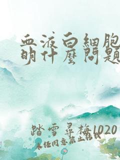 血液白细胞高说明什么问题