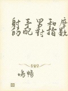 射手男和摩羯女的配对指数