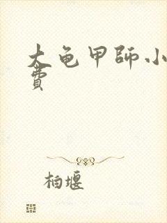 大龟甲师小说免费